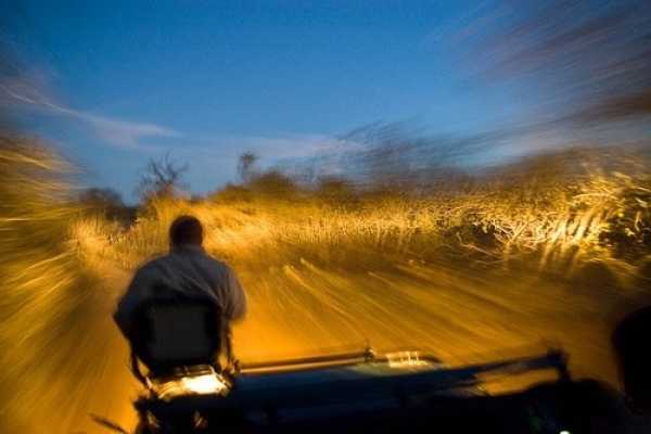 MANYARA NATIONAL PARK NIGHT GAME DRIVE
