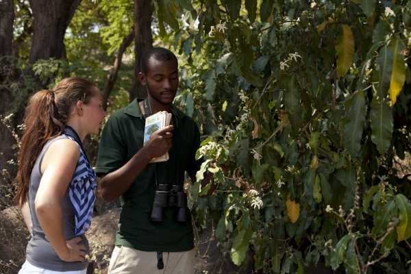 MANYARA FOREST HIKE - THE GREAT RIFT VALLEY