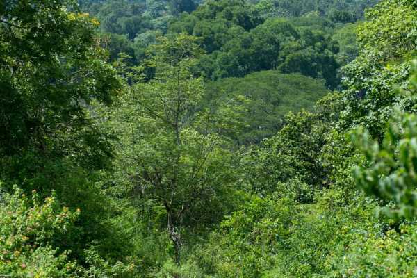 ARUSHA VILLAGES MOUNTAIN BIKING