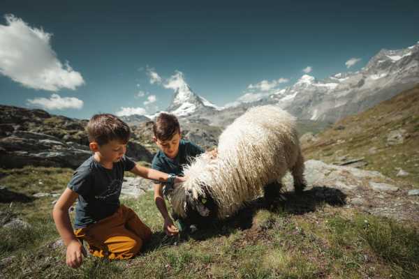 Zermatt: Gornergrat Bahn Cogwheel Skip-the-Line Train Ticket