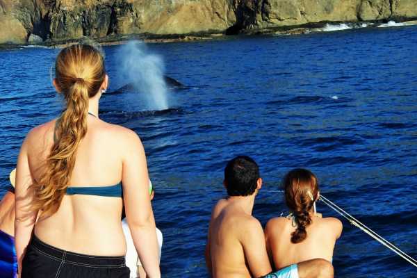 Hibiscus Catamaran Tour