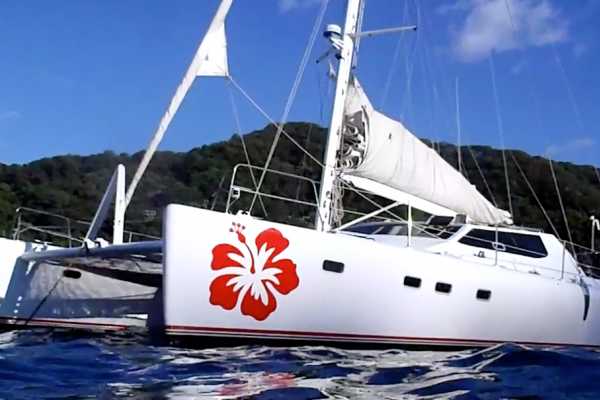 Hibiscus Catamaran Tour