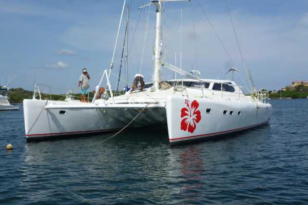 Hibiscus Catamaran Tour