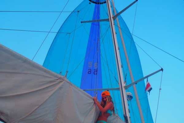 Hibiscus Catamaran Tour