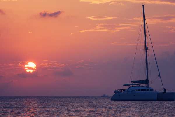 Hibiscus Catamaran Tour