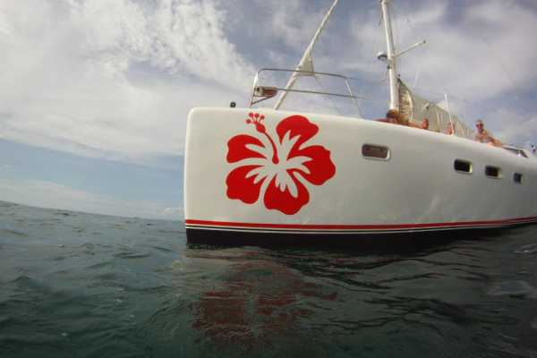 Hibiscus Catamaran Tour