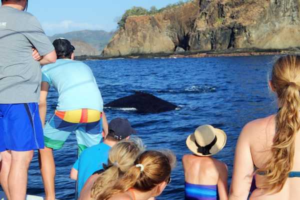 Hibiscus Catamaran Tour