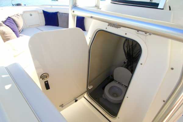 Speedboat DILEON with Skipper, 2x250hp