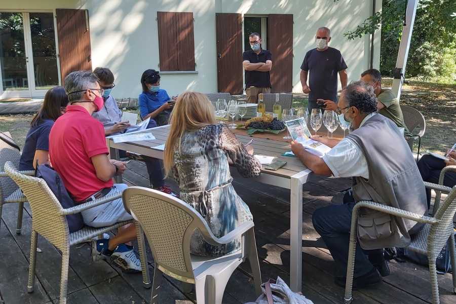 IF Imola Faenza (ERW) Discover Monte Coralli Wines