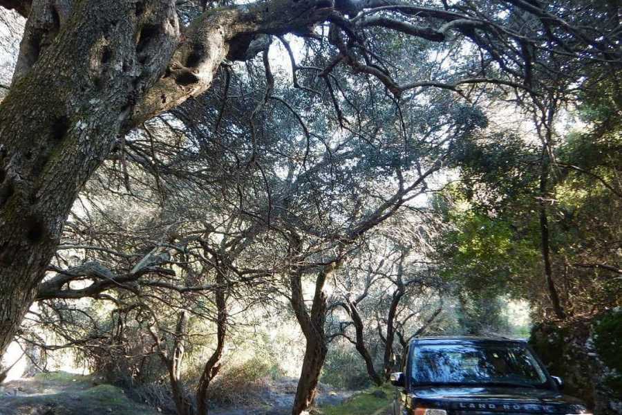 Destination Platanias Private Jeep Tour To the White Mountains and Samaria from Above