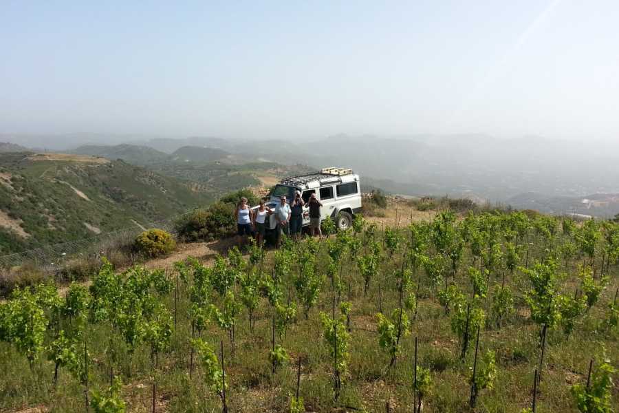 Destination Platanias Private Jeep Tour To the White Mountains and Samaria from Above