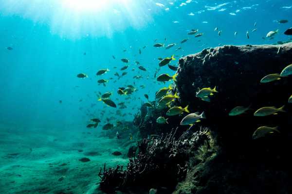 Kayak and Snorkeling Tour