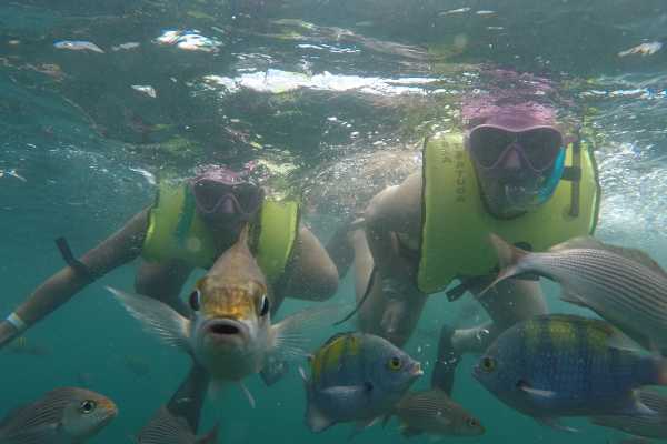 Kayak and Snorkeling Tour