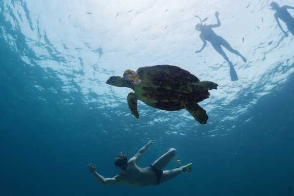 Kayak and Snorkeling Tour