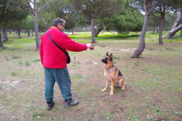 Dog Trekking ad Alghero