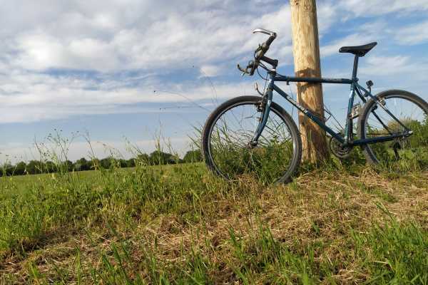 Bike Trekking at the Oasis