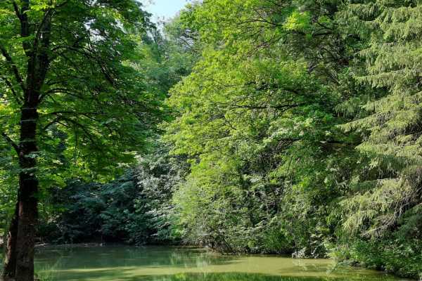 Il Cardello Park, a landscape monument