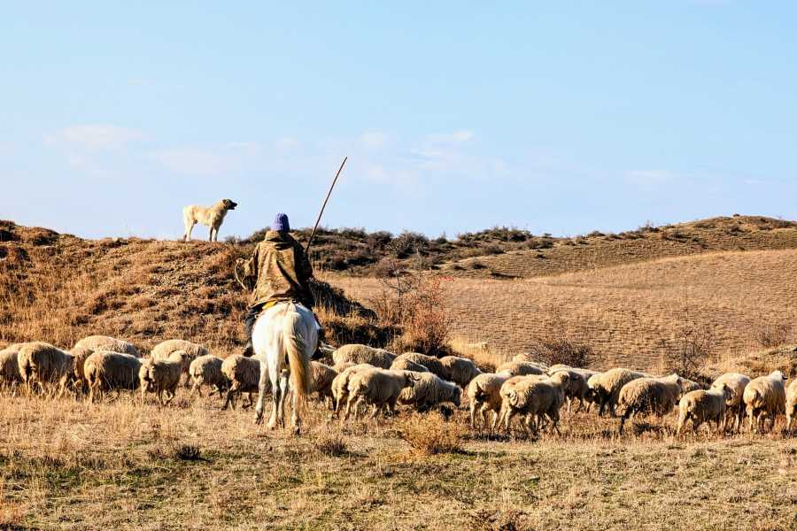 Gareji & Hidden Rainbow Mountains Off-Road Group tour from Tbilisi