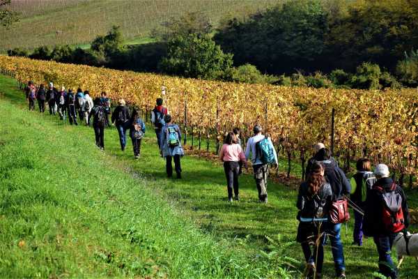 Hike and taste