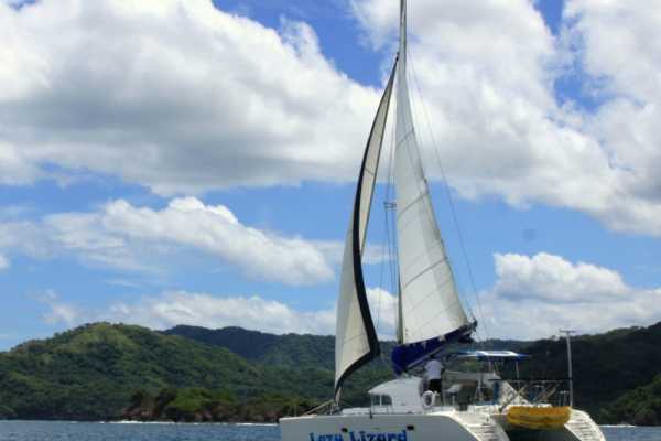 Lazy Lizard Catamaran Tour
