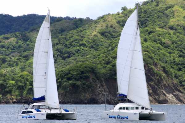 Lazy Lizard Catamaran Tour
