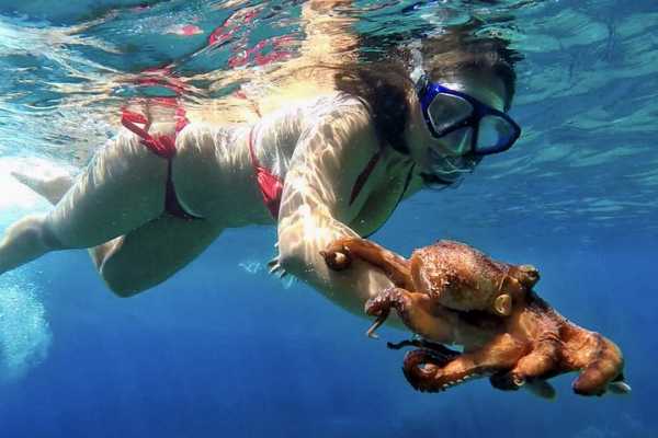 Island Vis discovery day tour from Hvar