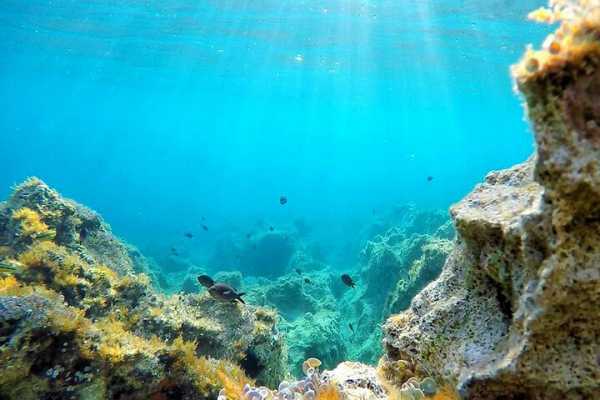 Island Vis discovery day tour from Hvar