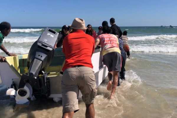 Ras Al Hadd Beach & Turtles Experience