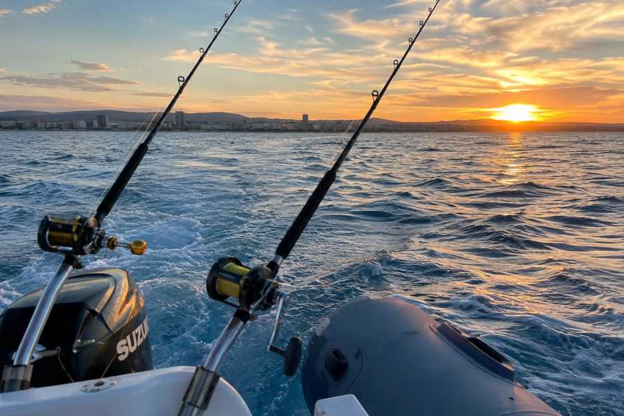 VisitRimini Pesca a traina costiera