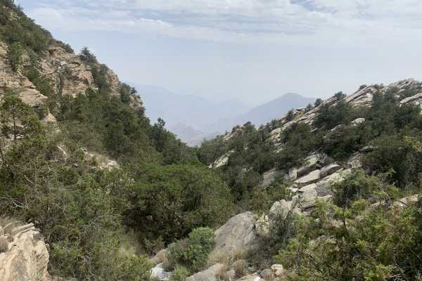 Saudi National Weekend Surprise Trip - Asir Province