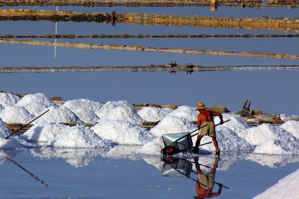 Visita guidata delle Saline di Marsala e raccolta del sale