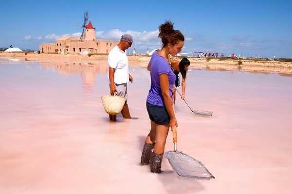 Visita guidata delle Saline di Marsala e raccolta del sale