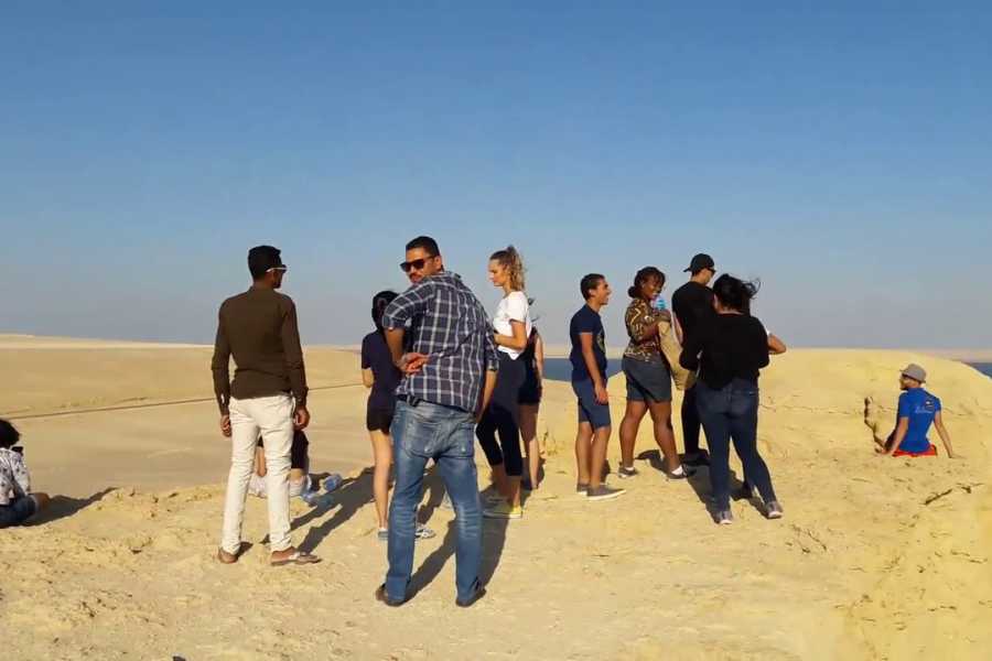 Emo Tours Sweden Day Tour to El Fayoum Oasis from Cairo