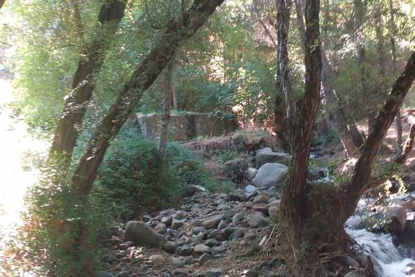 Minthis Hills Nature Trail