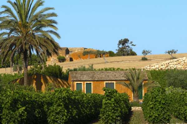 Degustazione di vini e aperitivo rinforzato nel Val di Noto