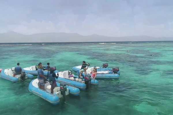 Antigua Reef Rider Snorkeling Tour