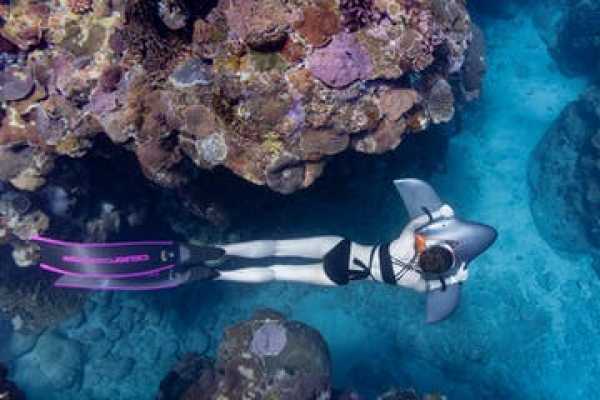 Antigua Boat & Snorkel Combo Tour