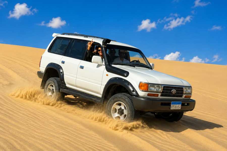 Let`s Explore Egypt Private Day Trip to Wadi El Hitan & Fayoum Oasis