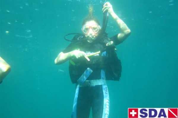 2 Tank Boat Dive for Beginners