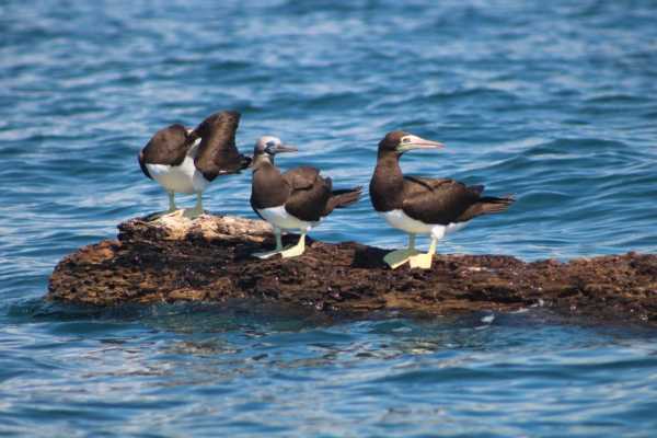 Marine Stations - Marino Ballena National Park