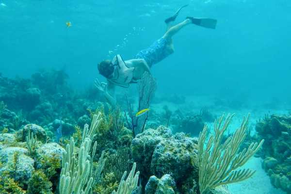 Group Reef, Beach and Sandbar Tour