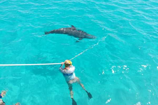 Group Reef, Beach and Sandbar Tour
