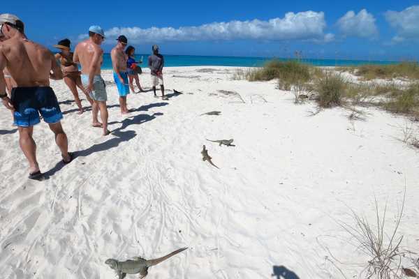 Group Reef, Beach and Sandbar Tour