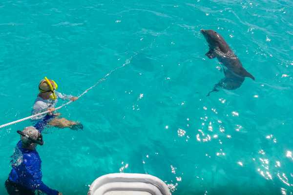 Private Full Day Catamaran Sail, Snorkel and Beach BBQ