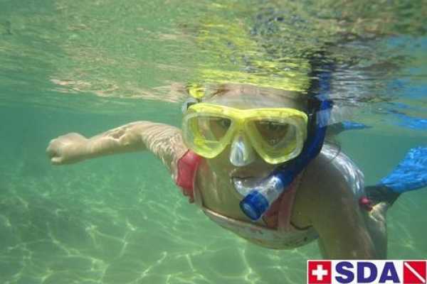 Snorkeling Tour