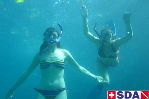 Snorkeling Tour