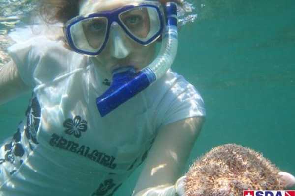 Snorkeling Tour