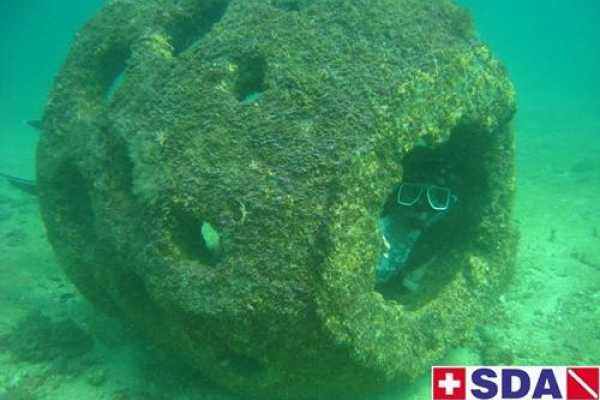 Snorkeling Tour