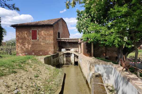 Pedaling on the off-road gullies, between vineyards and cellars