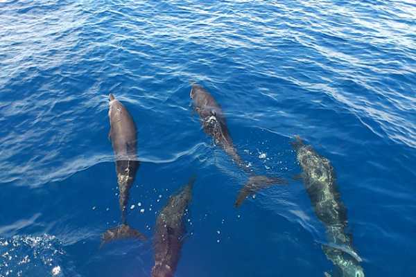 Snorkeling Ca&ntilde;o Island